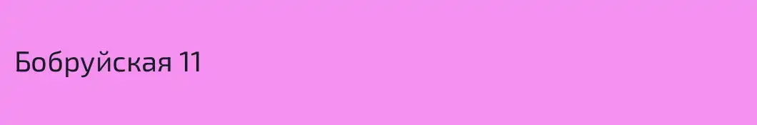 Бобруйская 11